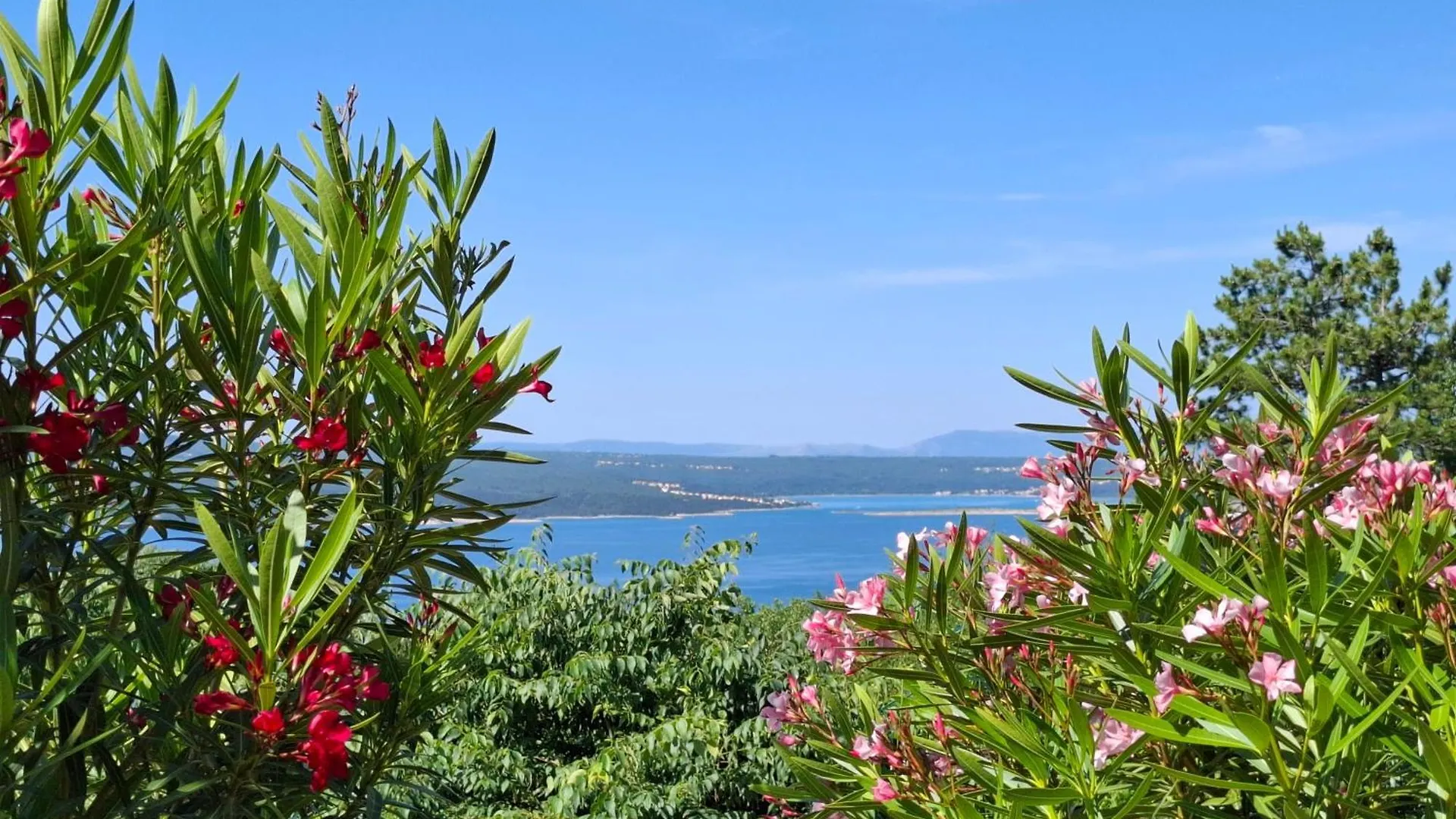 Villa Belvedere Crikvenica 0*,